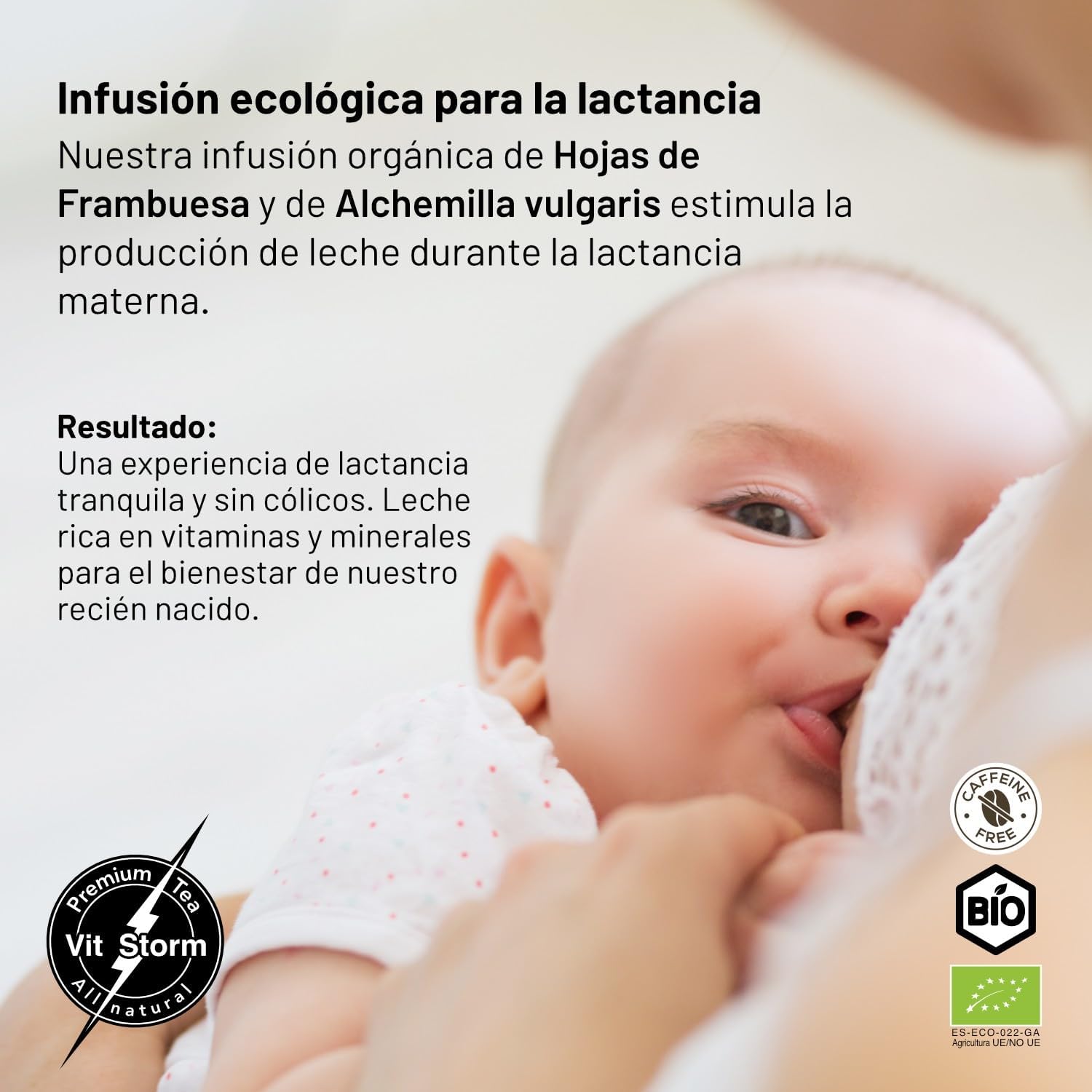 Té de Hojas de Frambuesa Ecológico – Vitstorm Bio